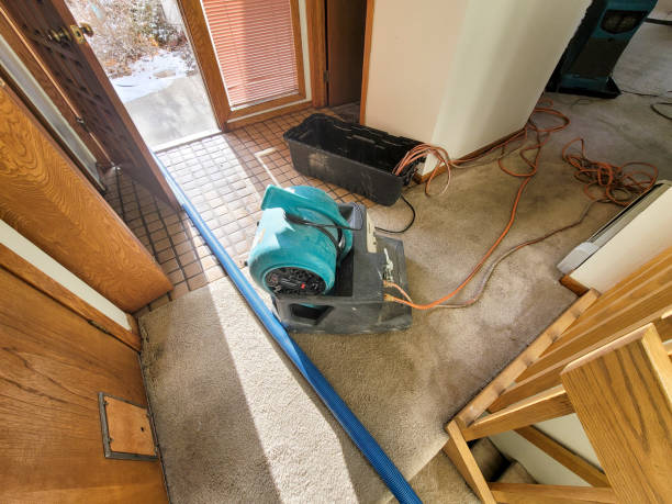 Best Emergency water damage restoration  in La Plata, NM