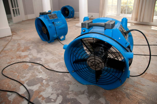 Professional Water damage restoration in NM