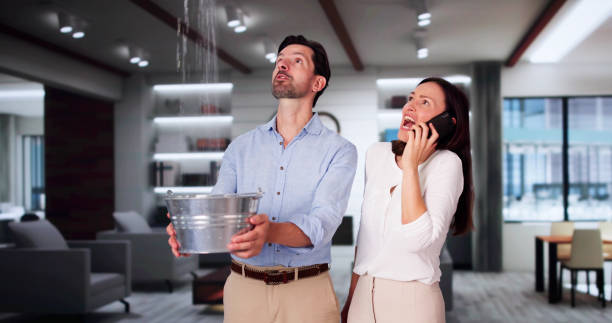 Best Flooded house restoration  in La Plata, NM