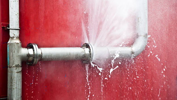 Best Water damage restoration near me  in La Plata, NM